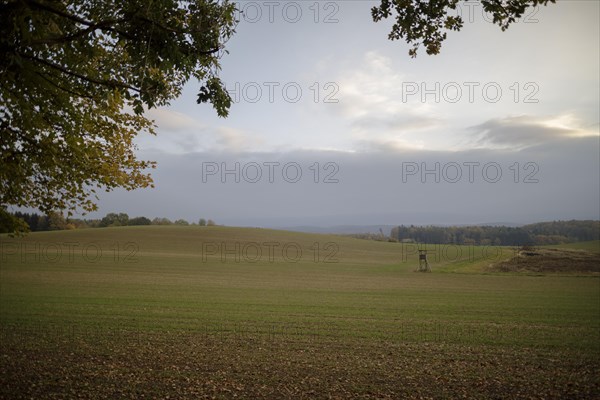 Autumn atmosphere in diffuse light in the fields