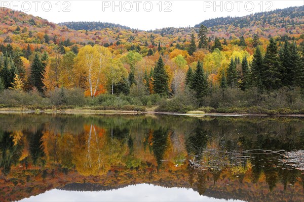 Autumnal landscape