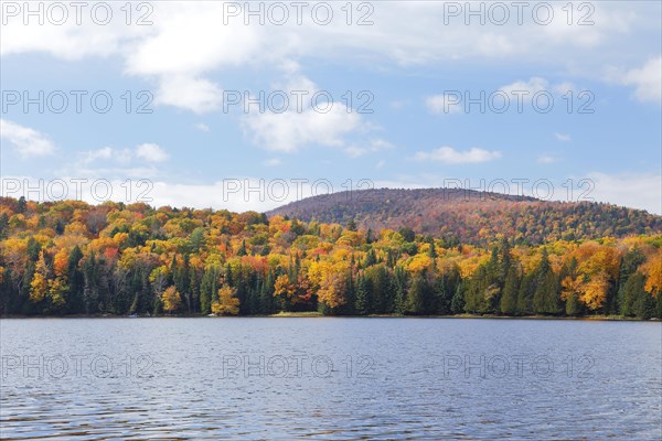 Autumnal landscape