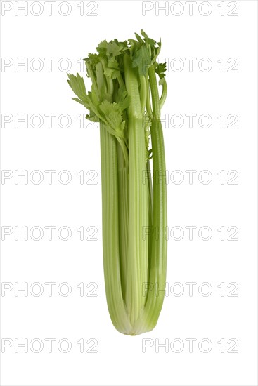 Celery sticks