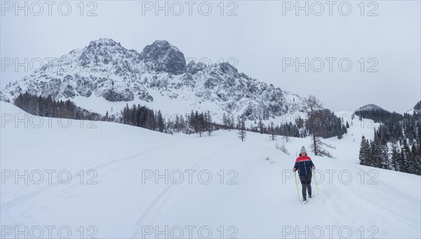 Winter landscape