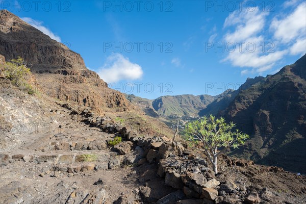 Camino la Merica hiking trail with view of El Guro