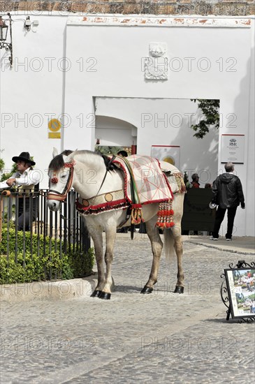 Rider with horse at the bullring of Ronda