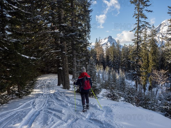 Snowshoe walker