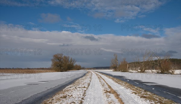 Snow and sunshine in the Lower Oder Valley National Park east of Schwedt
