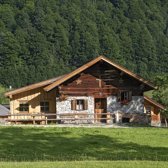 Alpine hut in Almdorf Eng