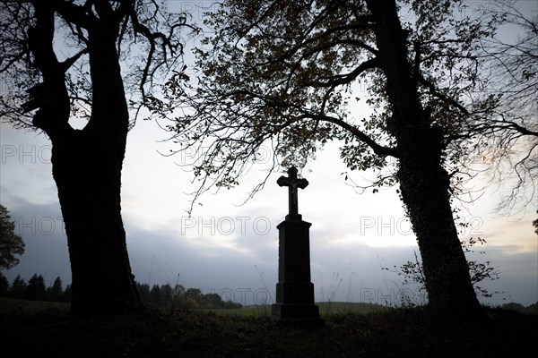 wayside cross in the backlight near Hof Hoefen