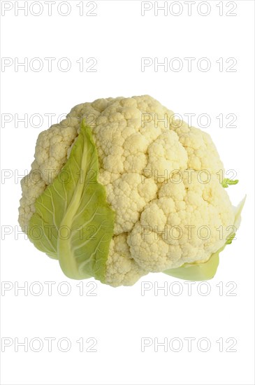 Cauliflower