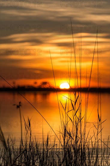 Sunset at Linyanti River