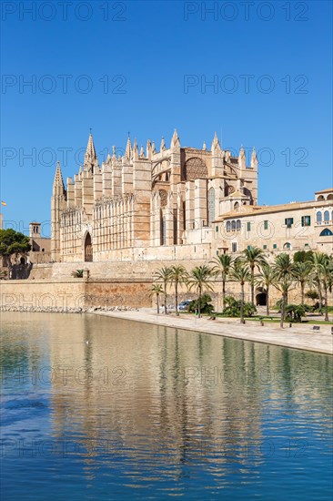 Cathedral Catedral de Palma La Seu Church Architecture Vacation Travel Travel in Palma de Majorca