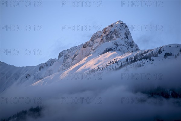 Winter landscape