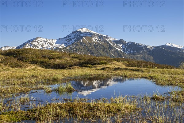 Gilfert with moor varnish in the foreground