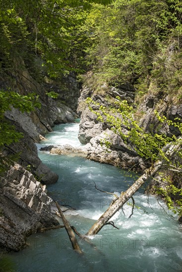 Rissbach in the Karwendel Mountains