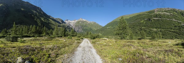 Landscape of the Rhone valley near the hamlet of Gletsch