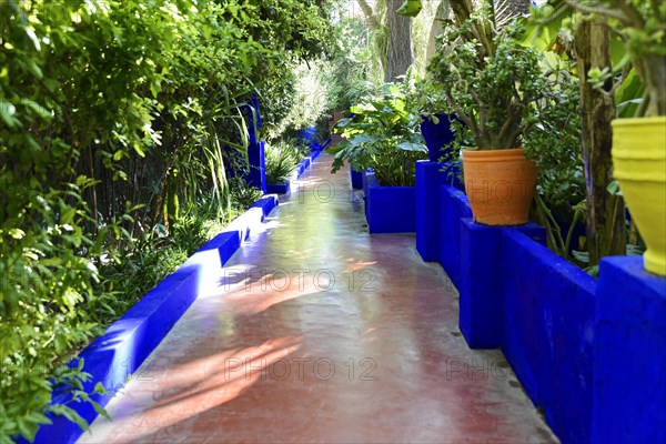 Jardin Majorelle