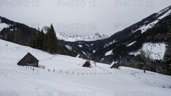 Winter landscape