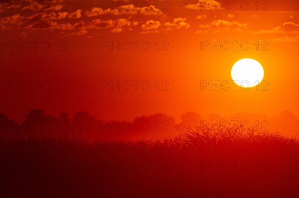 Sunset over the African Bush