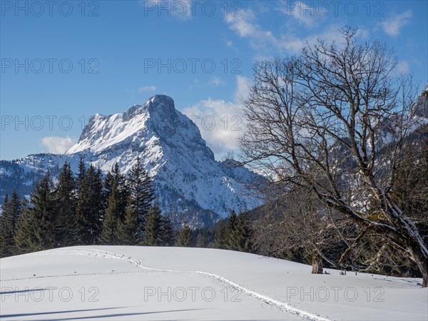 Winter landscape