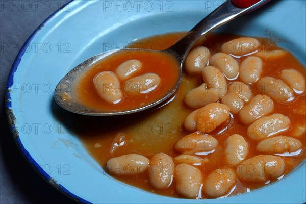 White beans with tomato sauce in plate with spoon