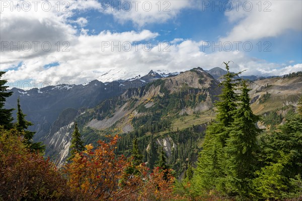 View of Mt. Baker with snow and glacier