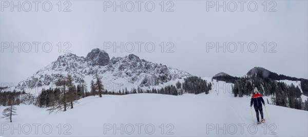 Winter landscape