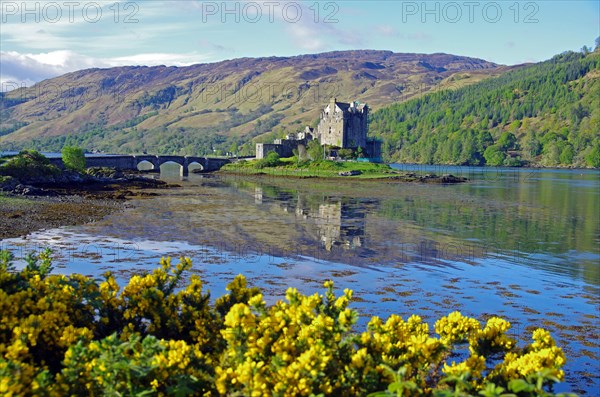 Castle reflected in the water