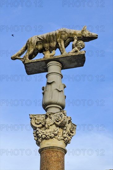 Close-up of Capitoline she-wolf suckling brothers Romus and Remulus