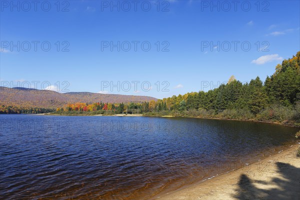 Autumnal landscape