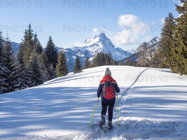 Snowshoe hiker in winter landscape