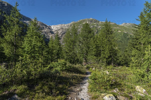 Landscape of the Rhone valley near the hamlet of Gletsch