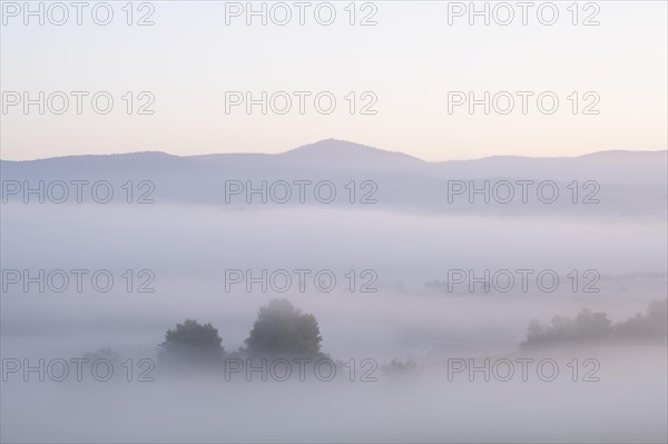 Morning fog in the Bavarian Forest