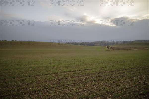 Autumn atmosphere in diffuse light in the fields
