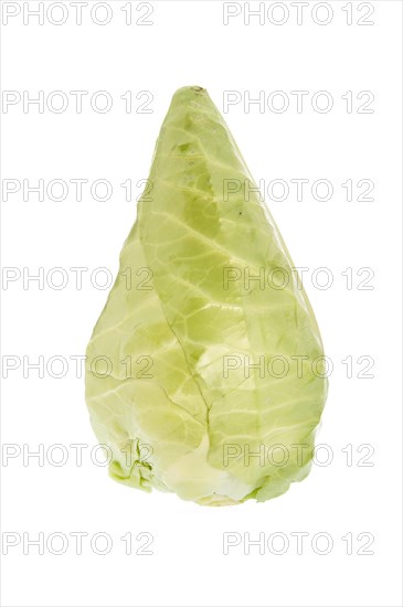 Pointed cabbage or pointed cabbage
