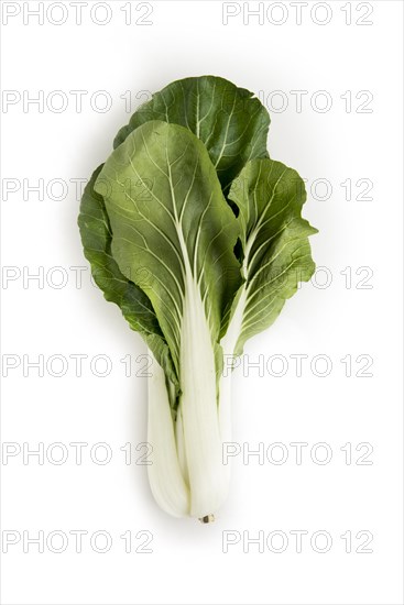 Pak choy Pak Choi