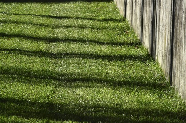 Green mown lawn with shade in stripes