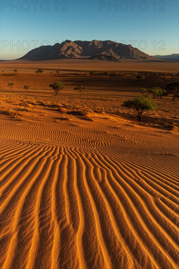 Wind-sculpted structures in the sand of the Namib Desert with Losberg Mountain in the background after sunrise