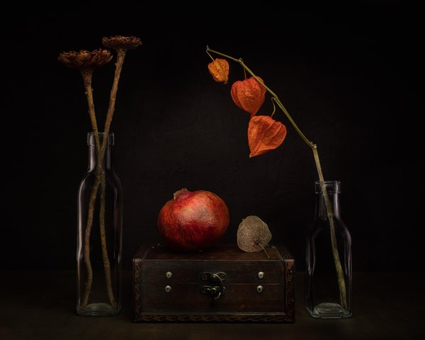 Still life with dried flowers and physalis in glass bottles