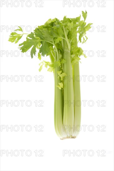 Celery sticks