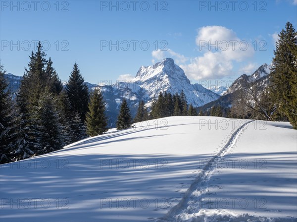 Winter landscape