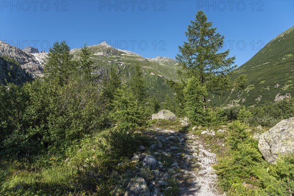 Landscape of the Rhone valley near the hamlet of Gletsch