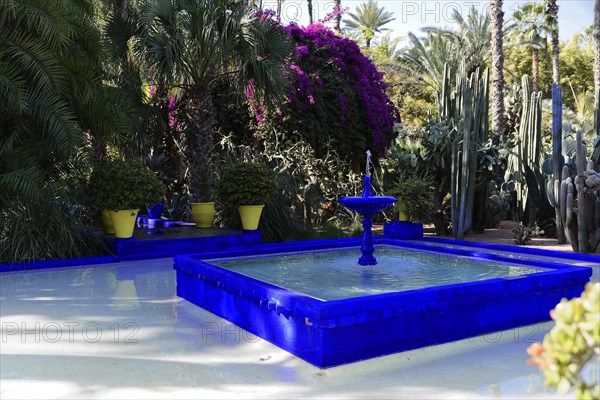 Jardin Majorelle