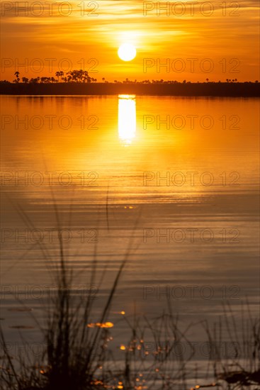 Sunset at Linyanti River