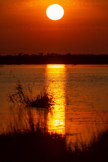 Sunset at Linyanti River