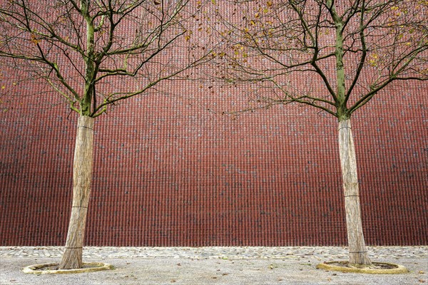 Brick facade with trees Museum Kueppersmuehle