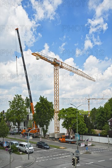 A crane being erected