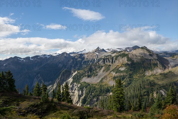 View of Mt. Baker with snow and glacier