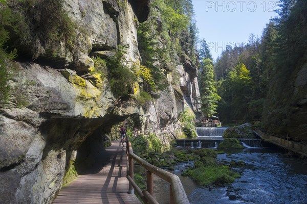 Footbridge and waterfalls in the Edmundsklamm