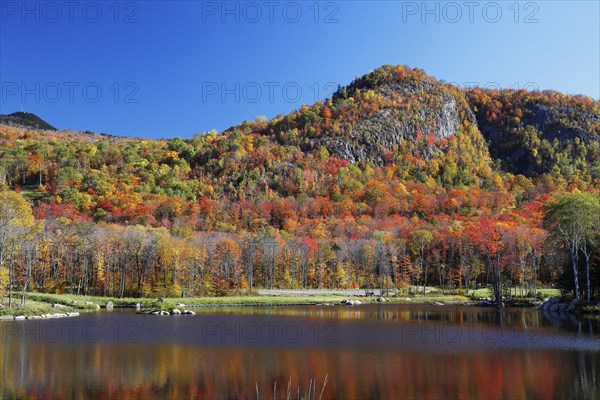 Autumnal landscape