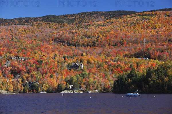 Autumnal landscape