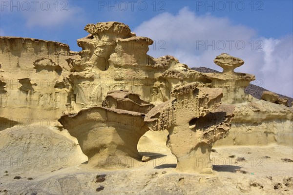 Bizarre rocks due to wind erosion